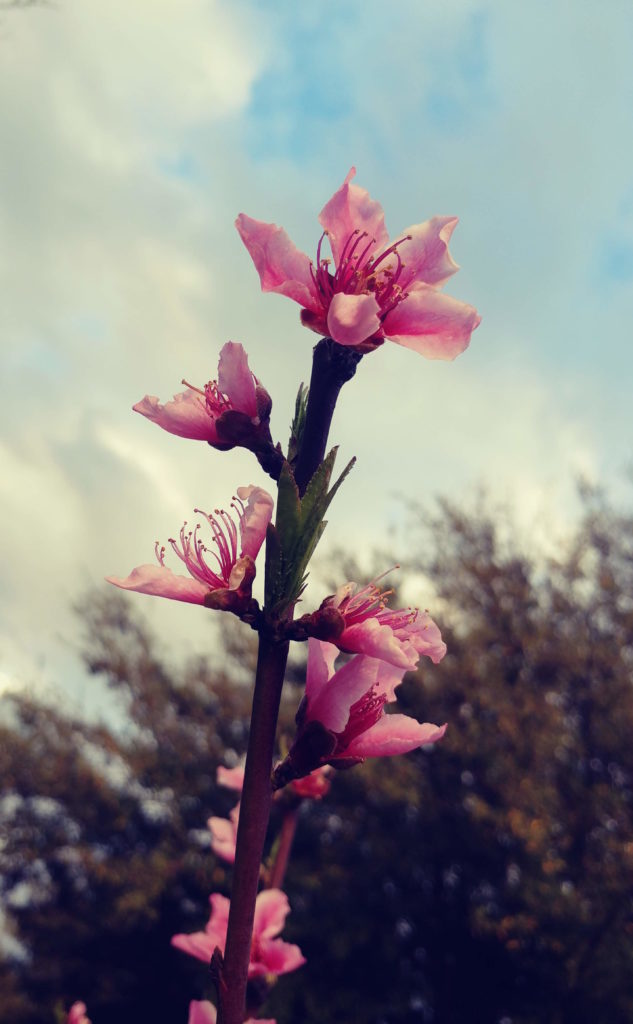 Spring For Change World Water Day Blessings Unitarian